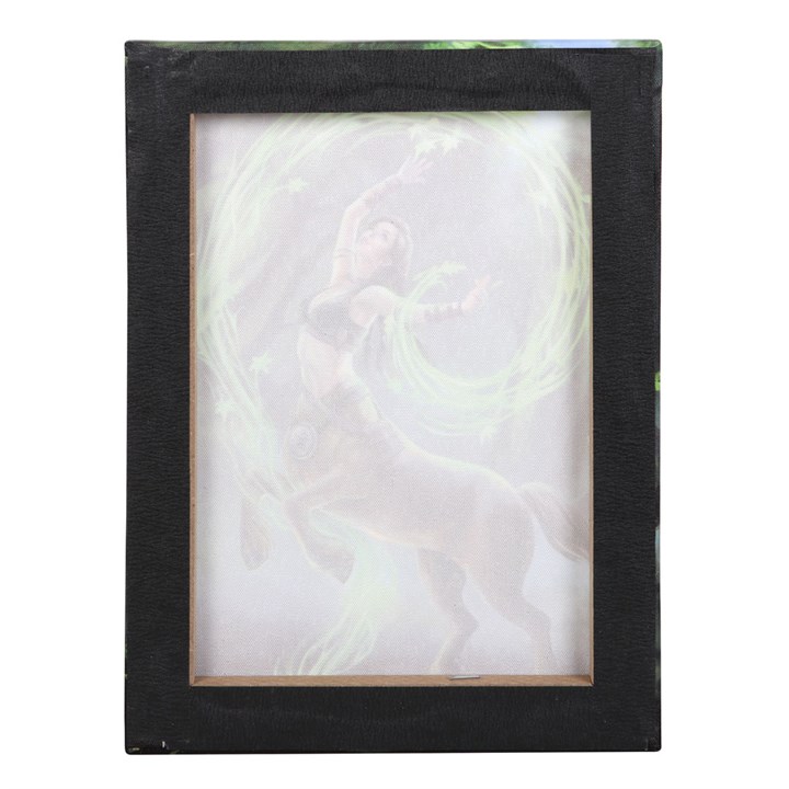 19x25cm Earth Element Sorceress Canvas Plaque by Anne Stokes 3 S03721374 13 2