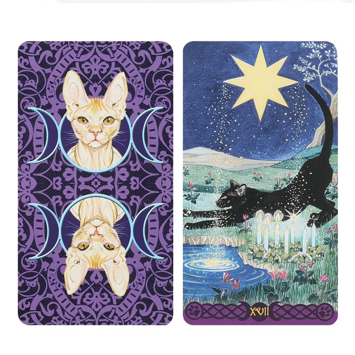 Pagan Cats Tarot Cards 3 S03720453 13