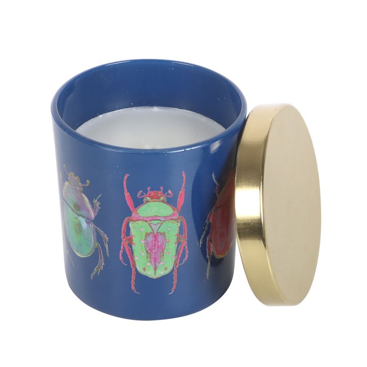 Blue Beetle Candle 2 S03723799 12