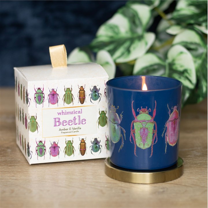 Blue Beetle Candle 5 S03723799 15