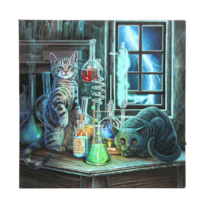 Jekyll and Hyde Light Up LED Canvas Plaque by Lisa Parker 2 S03724026 12