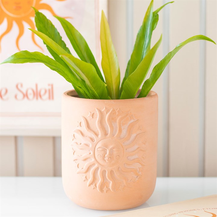 Terracotta Sun Plant Pot 1 Terracotta Sun Plant Pot